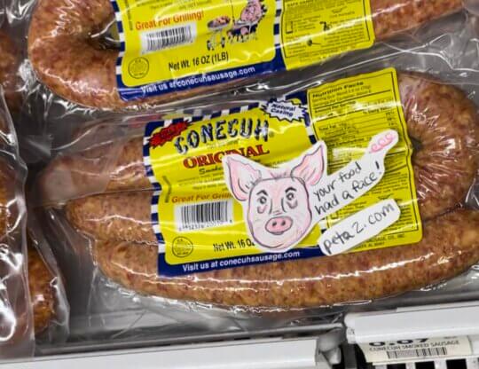 PETA-owned image of your food had a face mission from Alexis C