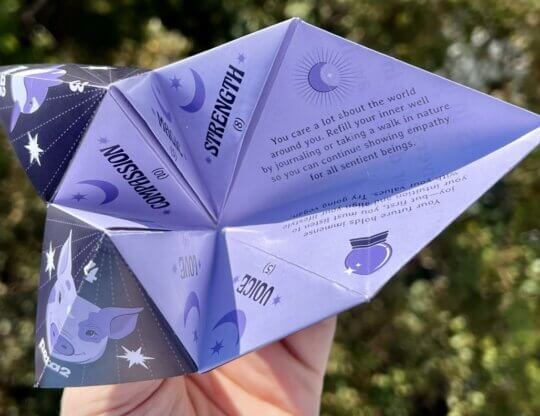PETA-owned image of a fortune teller for the featured image from Taylor M