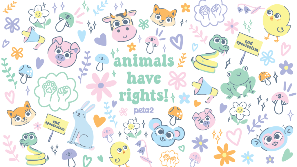 PETA-owned image of desktop peta2 wallpaper for free phone wallpaper featured image from Bridget D