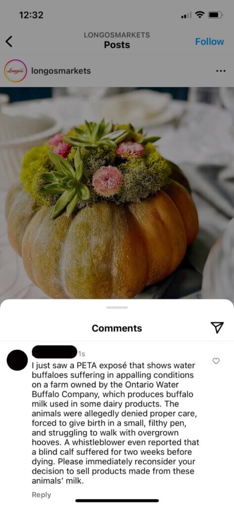 PETA-owned image of the water buffalo mission example from Calvin M