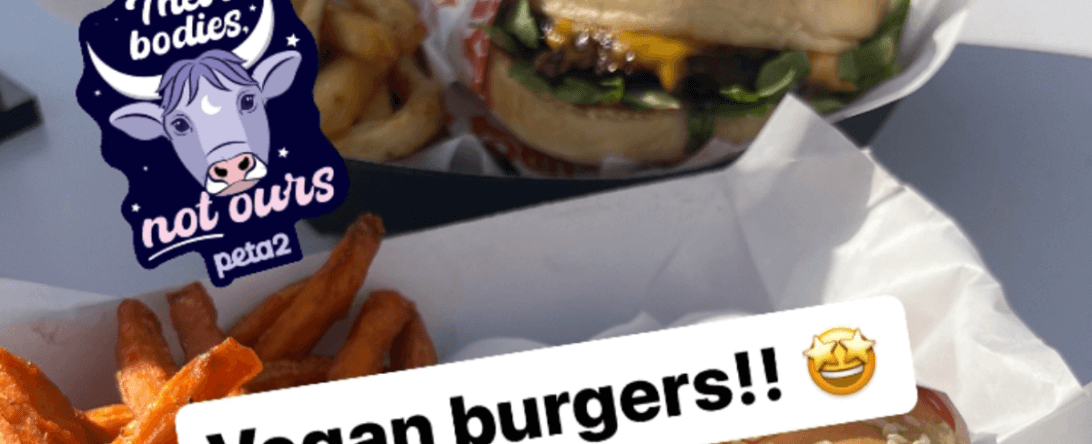 PETA-owned image for Your Sign GIFs featured image from Bridget D
