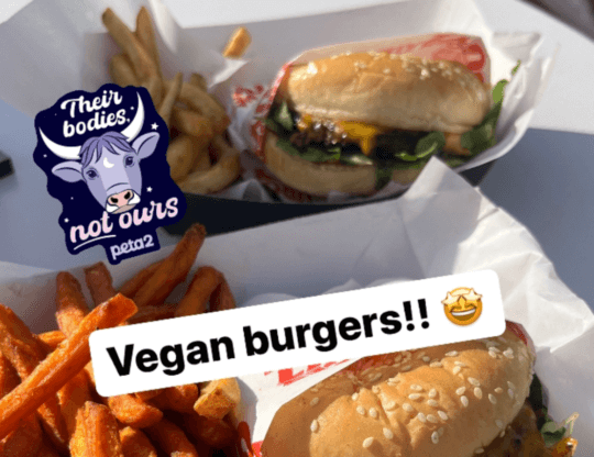 PETA-owned image for Your Sign GIFs featured image from Bridget D