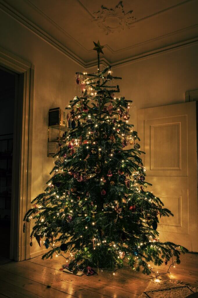 Image from Unsplash of Christmas tree
