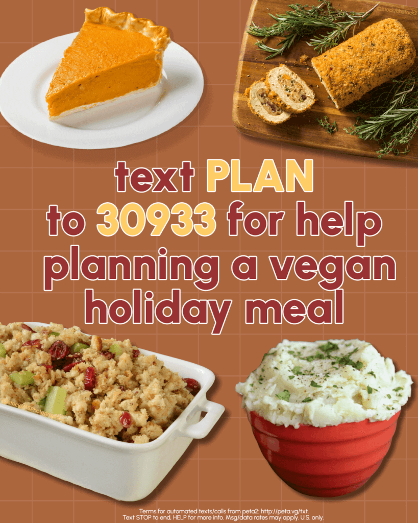 PETA-owned graphic for the text plan