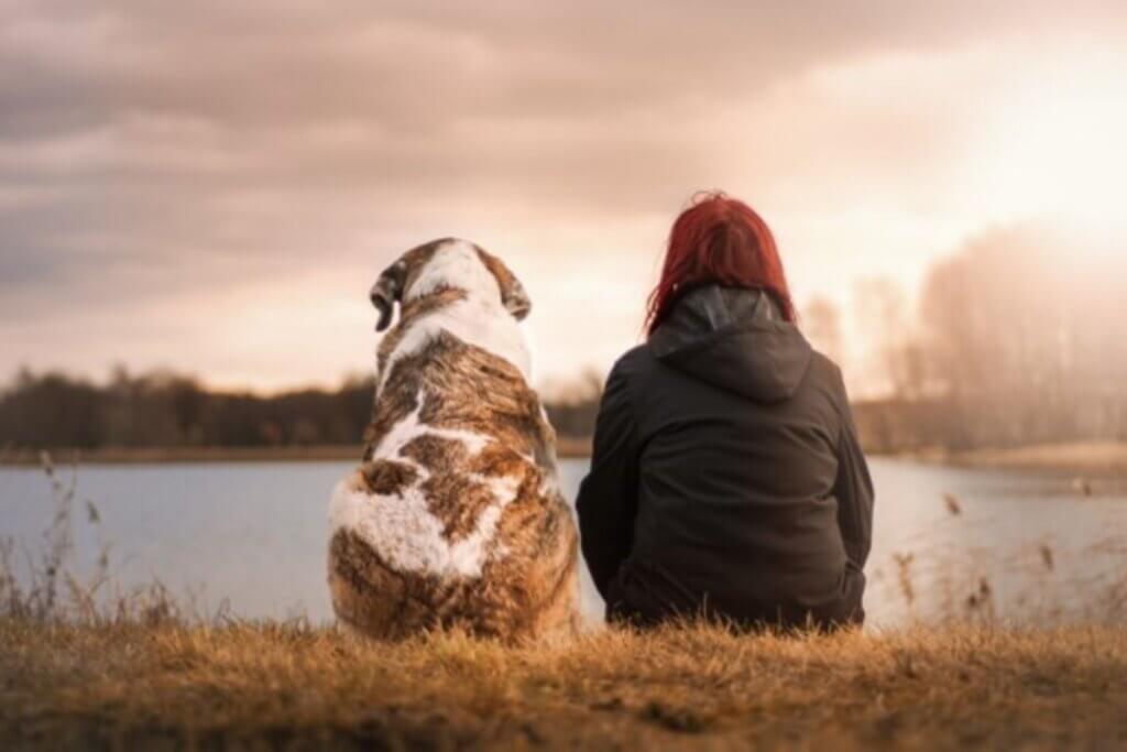 Image from Pixabay of person and their dog for grieving the loss of companion animal