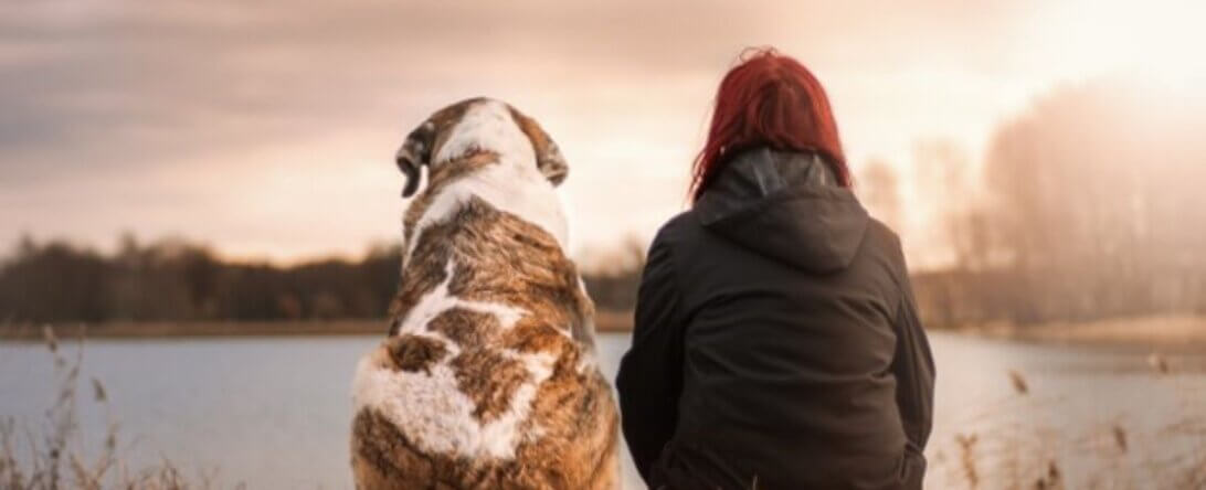 Image from Pixabay of person and their dog for grieving the loss of companion animal
