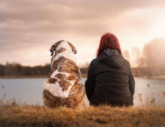 Image from Pixabay of person and their dog for grieving the loss of companion animal