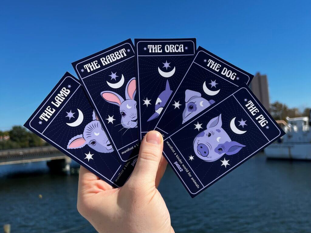 PETA-owned image of oracle cards from Taylor M
