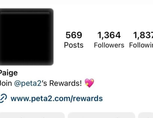 PETA-owned image of peta2 Rewards link mission featured image
