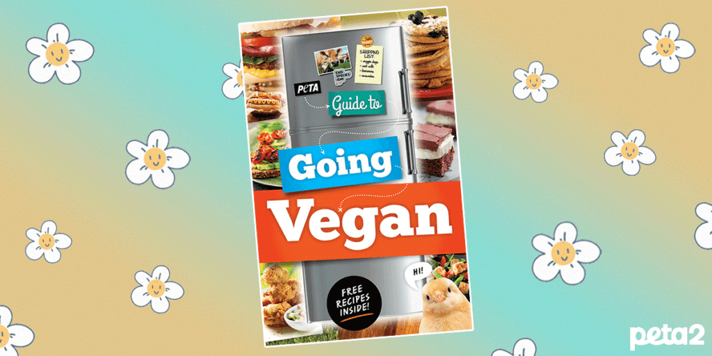 PETA-owned image of the Guide to Going vegan booklet from https://www.peta2.com/free-vegan-guide/