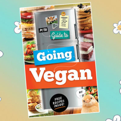 PETA-owned image of the Guide to Going vegan booklet for featured image from https://www.peta2.com/free-vegan-guide/