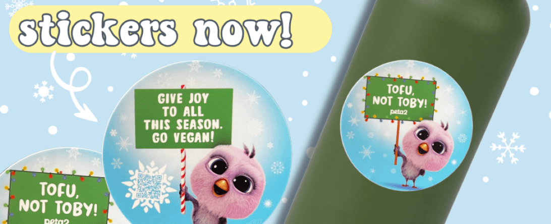 PETA-owned image of Toby the turkey stickers for the featured image