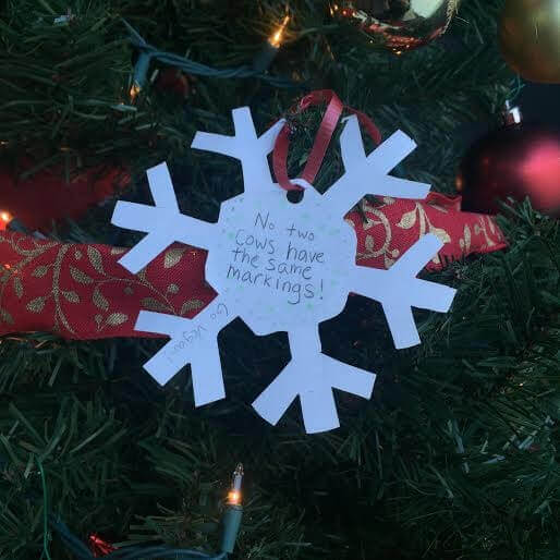 PETA-owned image for the snowflakes example from Bridget D
