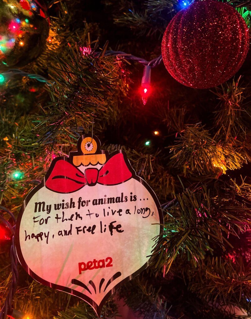 PETA-owned image of wishes for animals from Paige S