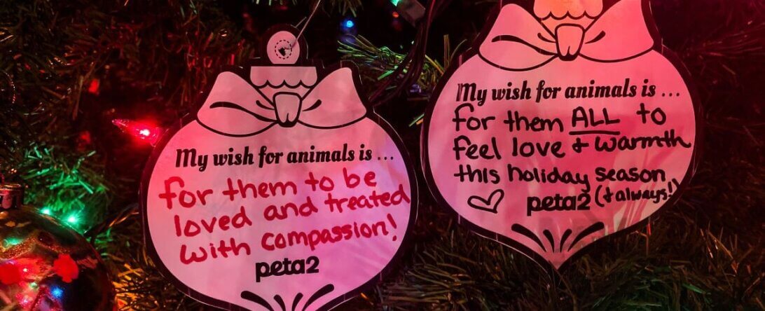 PETA-owned image of wishes for animals from Paige S
