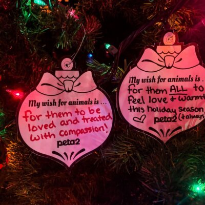 PETA-owned image of wishes for animals from Paige S