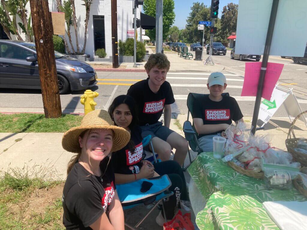 SOS Calabasas Bake Sale
