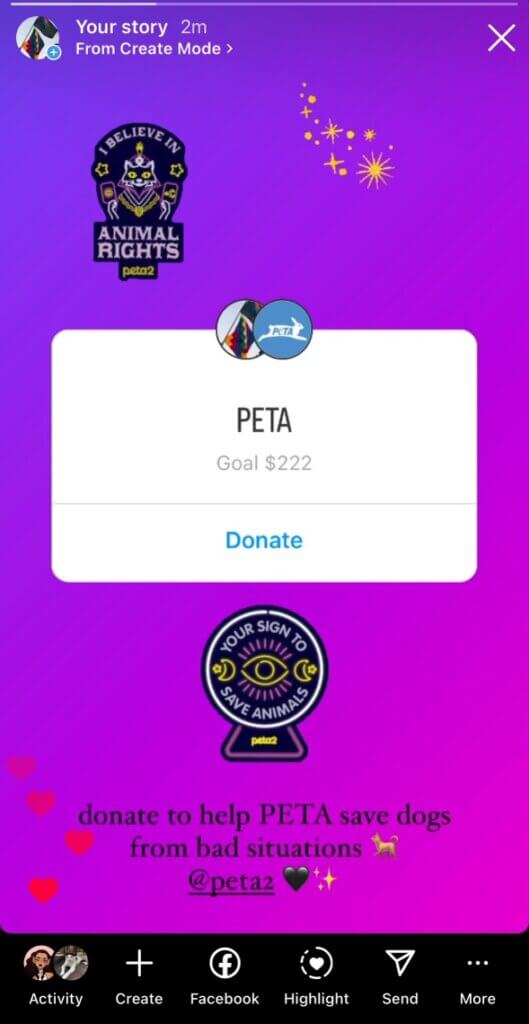 PETA-owned image of the fundraiser chained dog mission example from Talitha MM