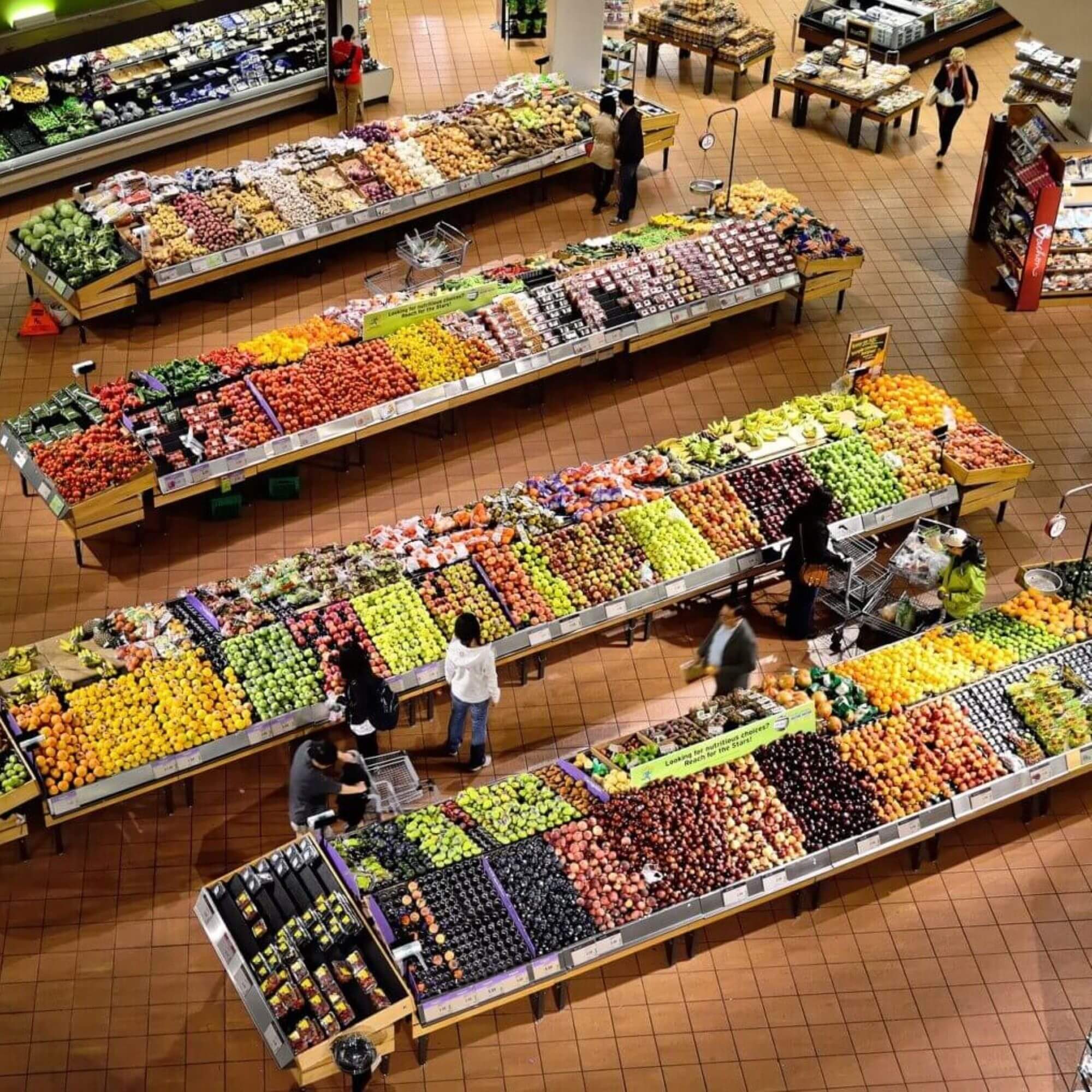 why meat, egg, and dairy subsidies are harmful af peta2