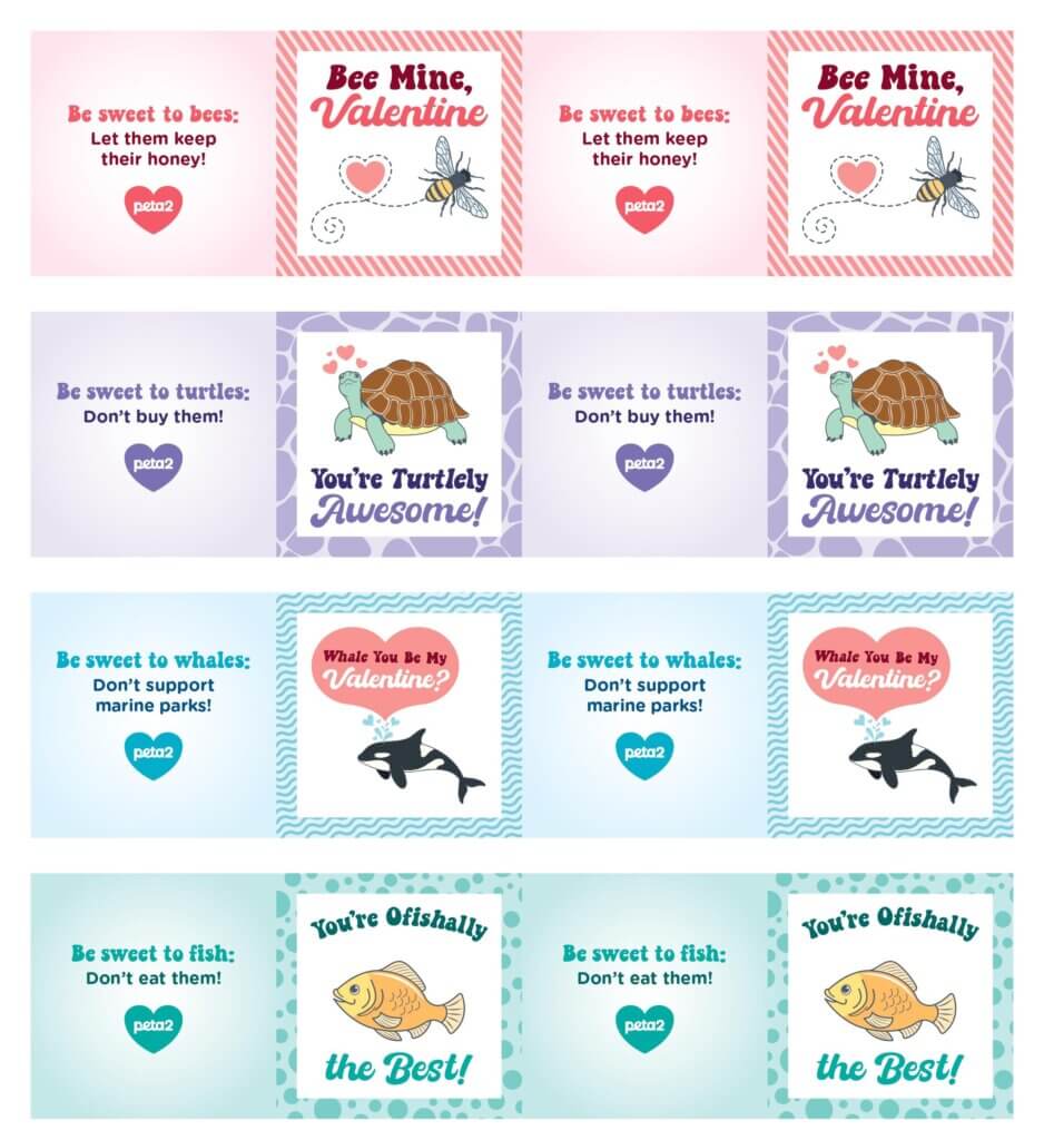 PETA-owned image of the Valentine's Day cards from Paige S