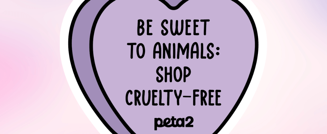 PETA-owned image of a be sweet sticker from Hailey H