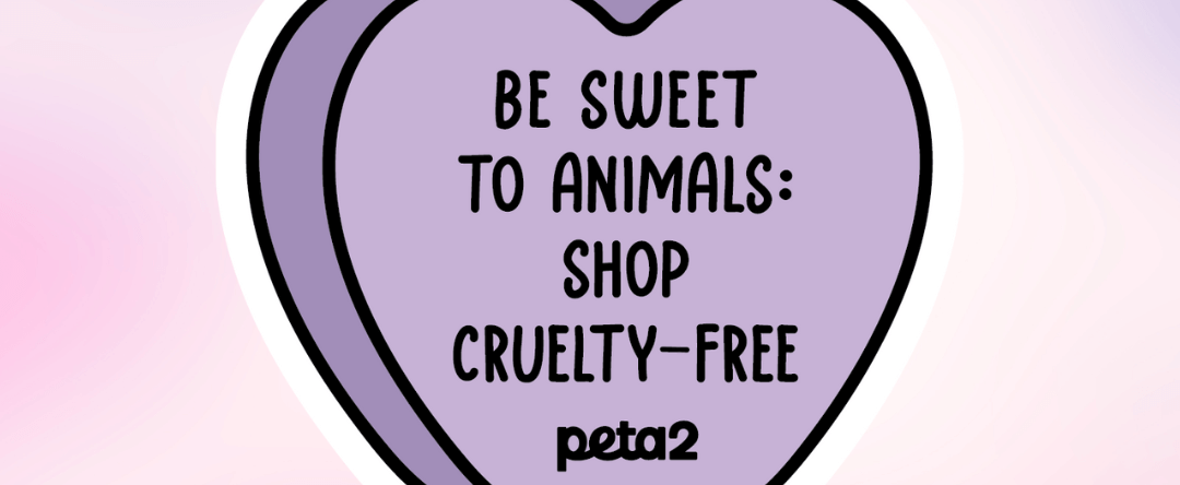 ways young people can help animals! | peta2
