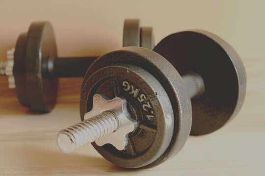 Image from Pixabay for the vegan weightlifters featured image