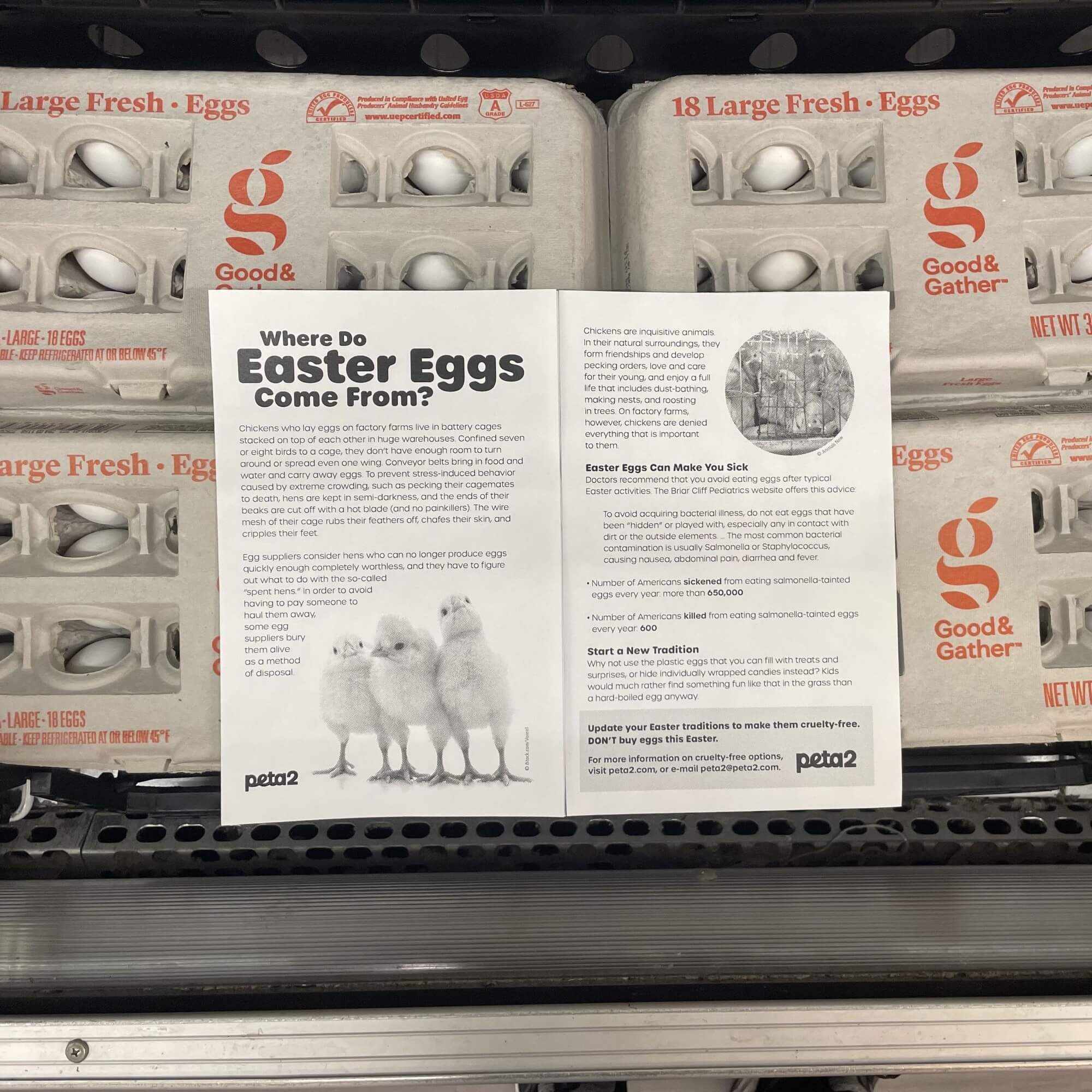 PETA-owned image for the Easter eggs mission example from Calvin M