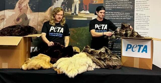 PETA-owned image for the donate fur coat article from https://www.peta.org/wp-content/uploads/2023/02/peta-fur-coat-donations-turkey-earthuake-victims.png-e1676392835893.jpg
