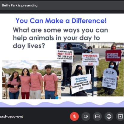 PETA-owned image for the peta2 virtual presentation article featured image