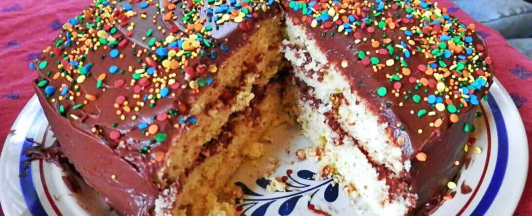 cruelty-free & vegan lifestyle at home and school | peta2