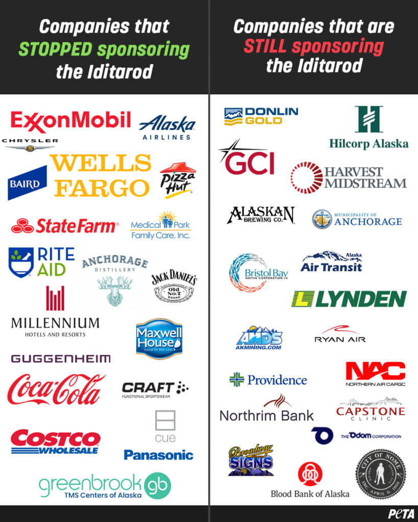 PETA-owned image for the Iditarod AA from https://headlines.peta.org/iditarod-race-will-leave-you-outraged/