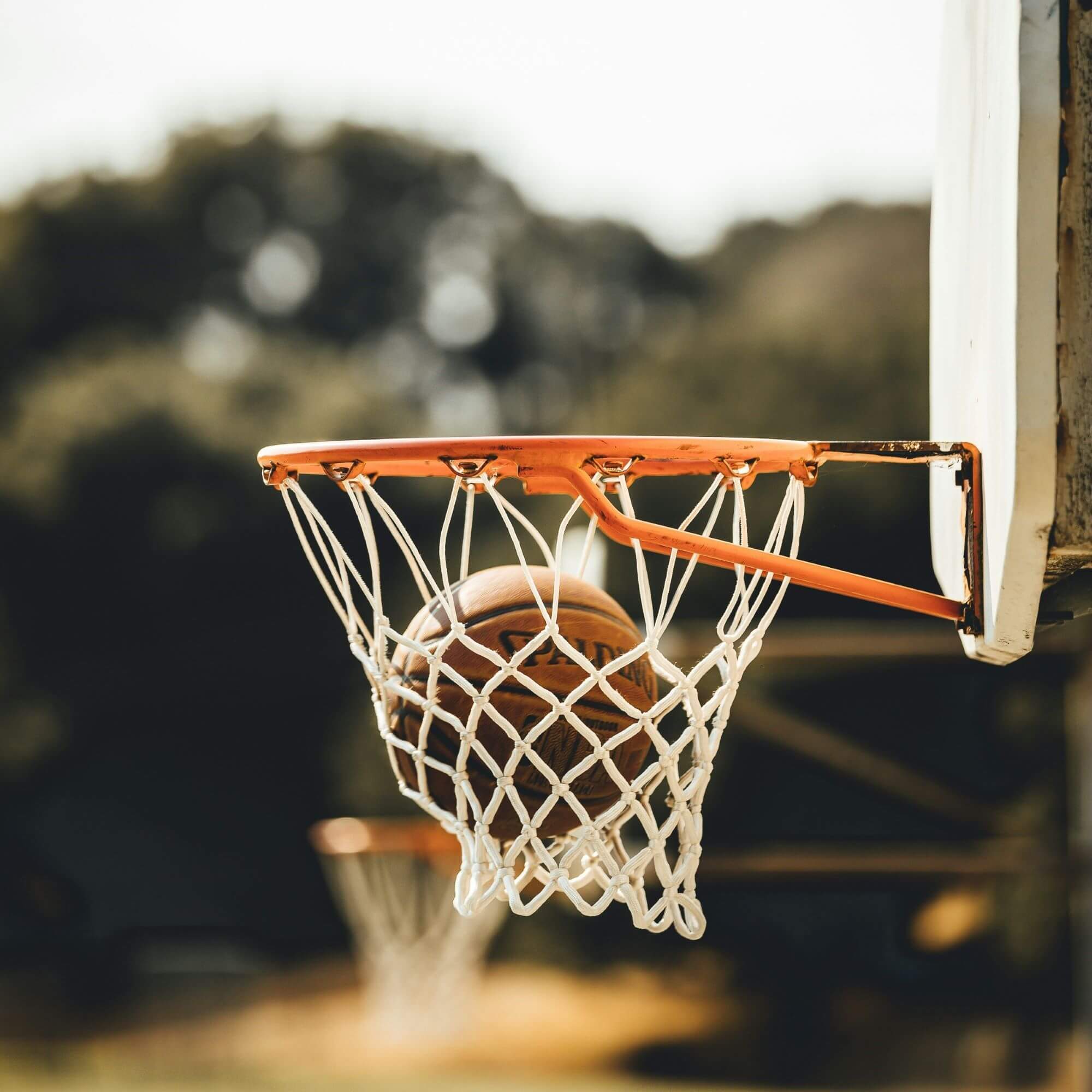 Image from Unsplash for the vegan athlete featured image