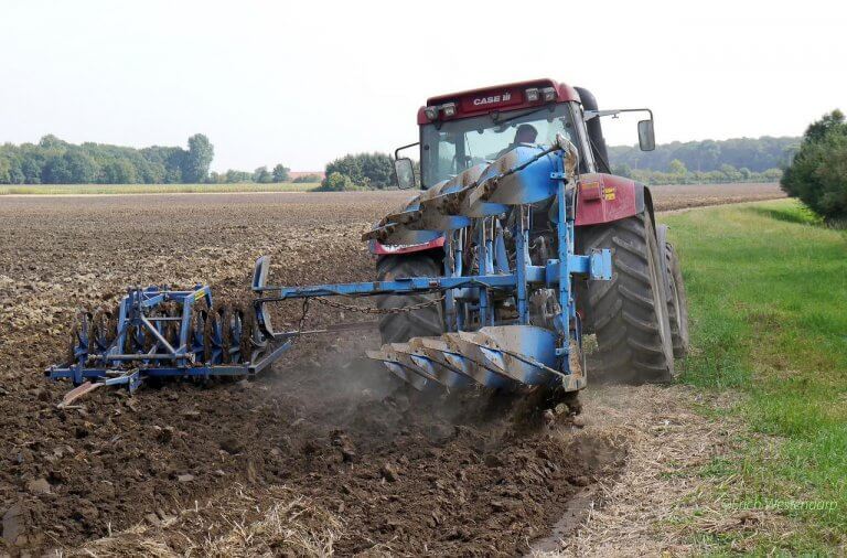 PETA-owned image for the sustainable animal agriculture article from https://www.peta.org/features/is-regenerative-agriculture-humane-and-sustainable/