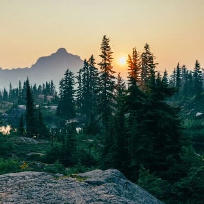 Image for the Father's Day fishing article featured image from Unsplash