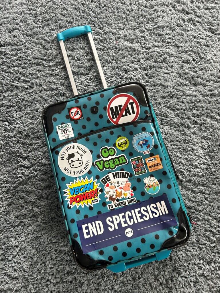 PETA-owned image for the speak up traveling article from Starlynn C