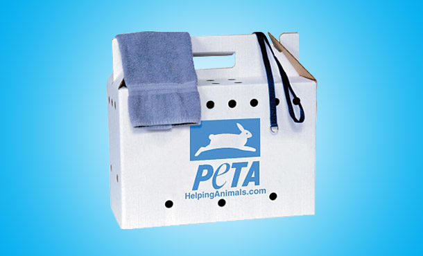 PETA-owned image