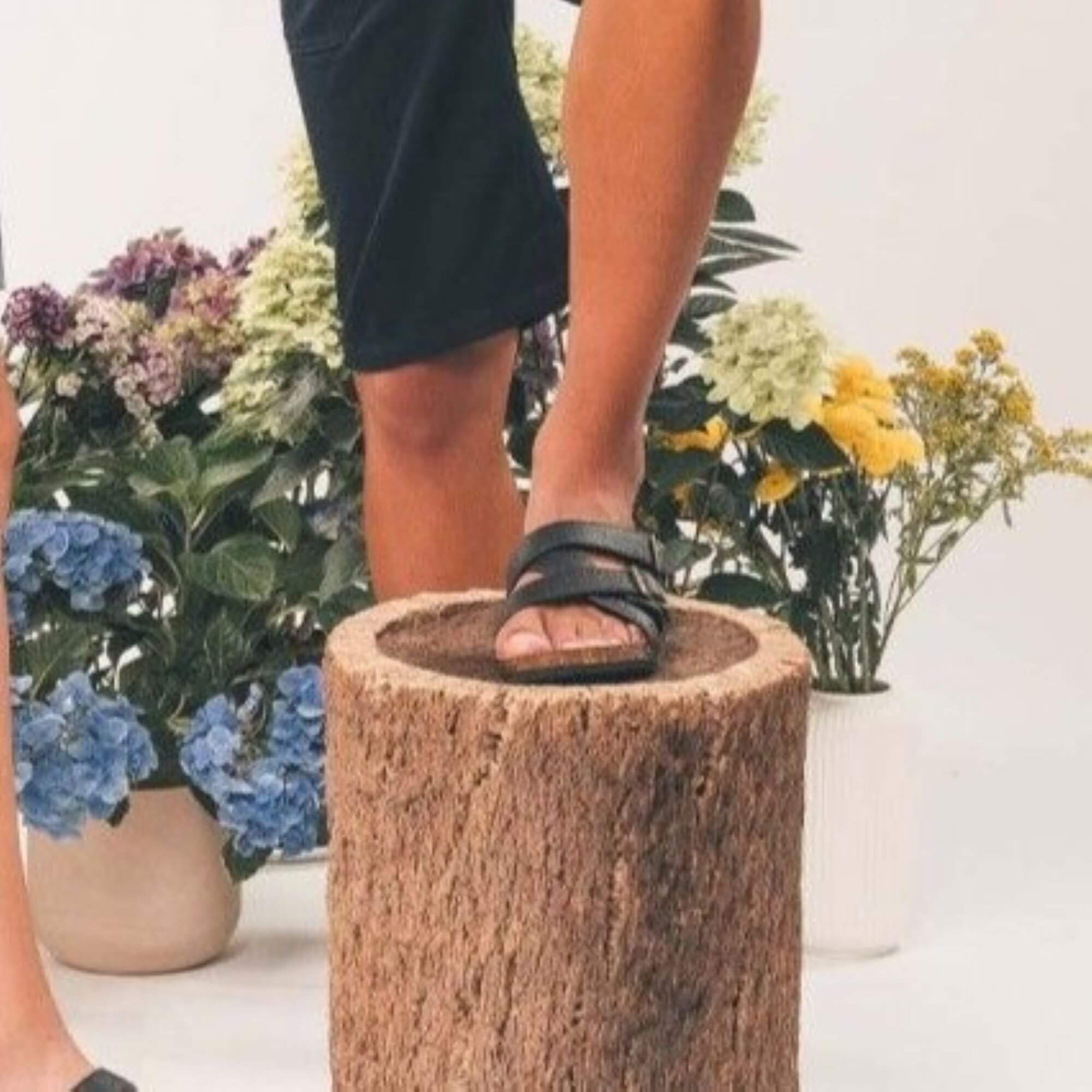 Image from NAE website for the vegan sandals article