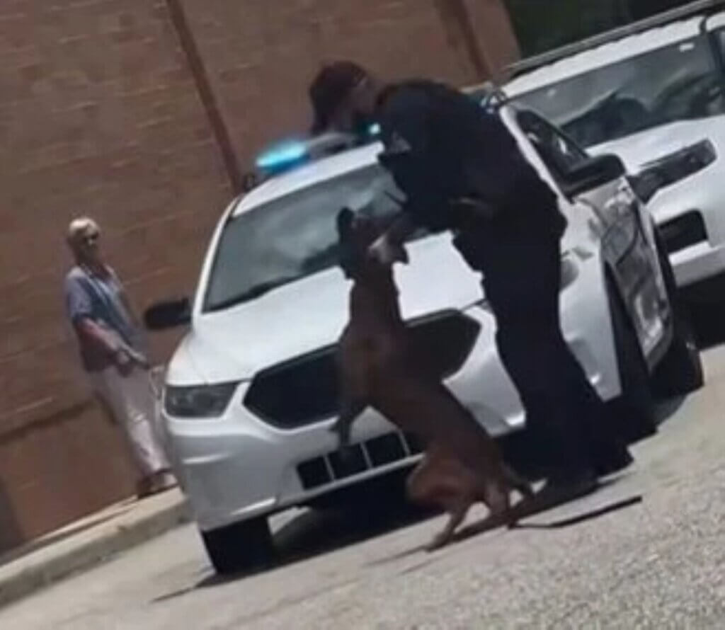 Image from Facebook reel for the police officer K9 mission