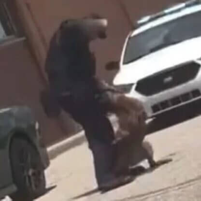 PETA-owned image for the police officer K9 mission