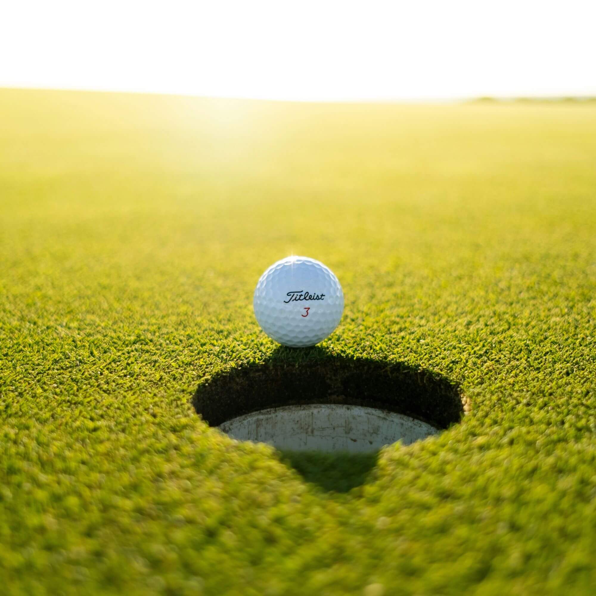 Image from Unsplash for the vegan golf gear article
