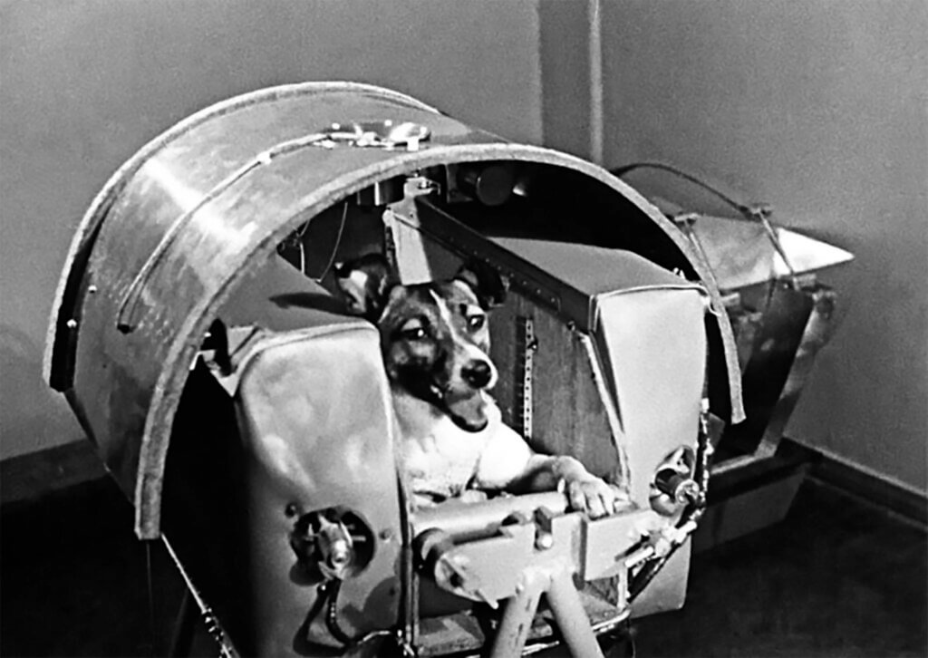 Image for the Coraline Laika article from a PETA blog