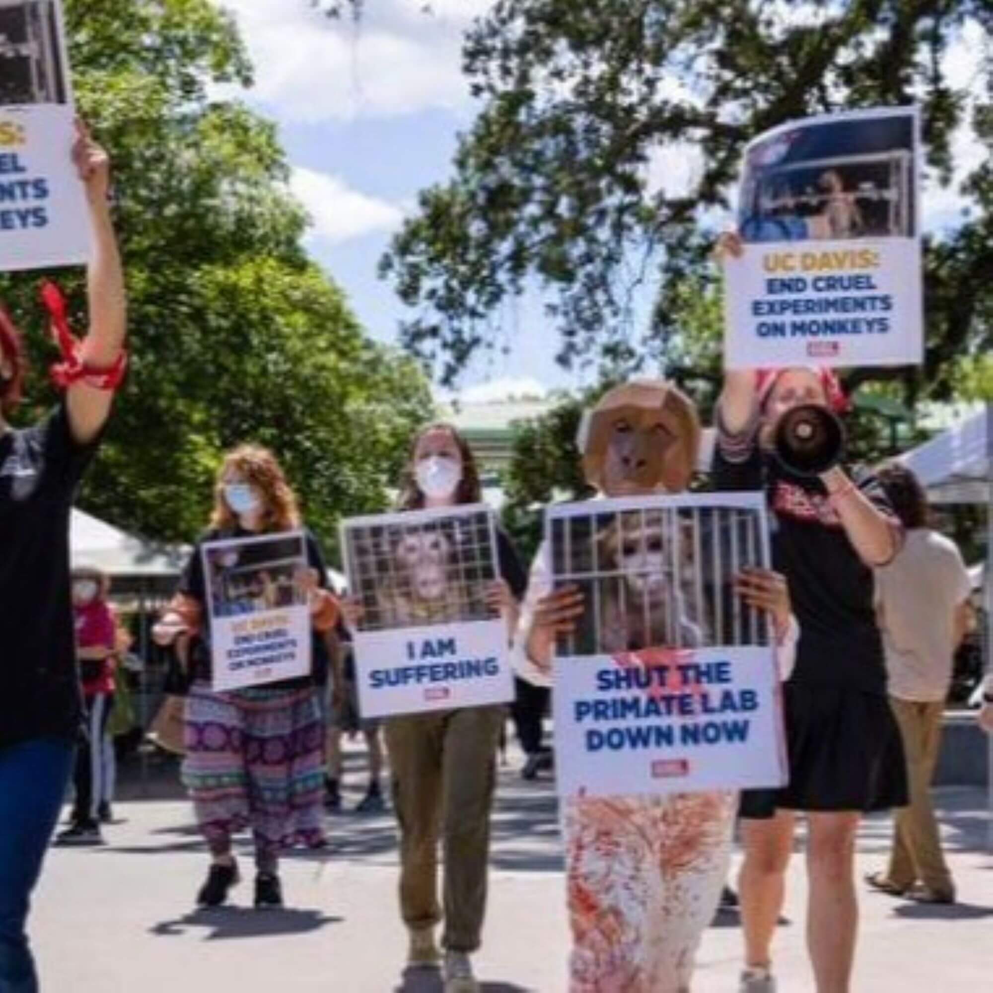 PETA-owned image for the buzz campus article