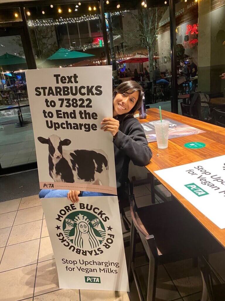 Starbucks vegan milk 2