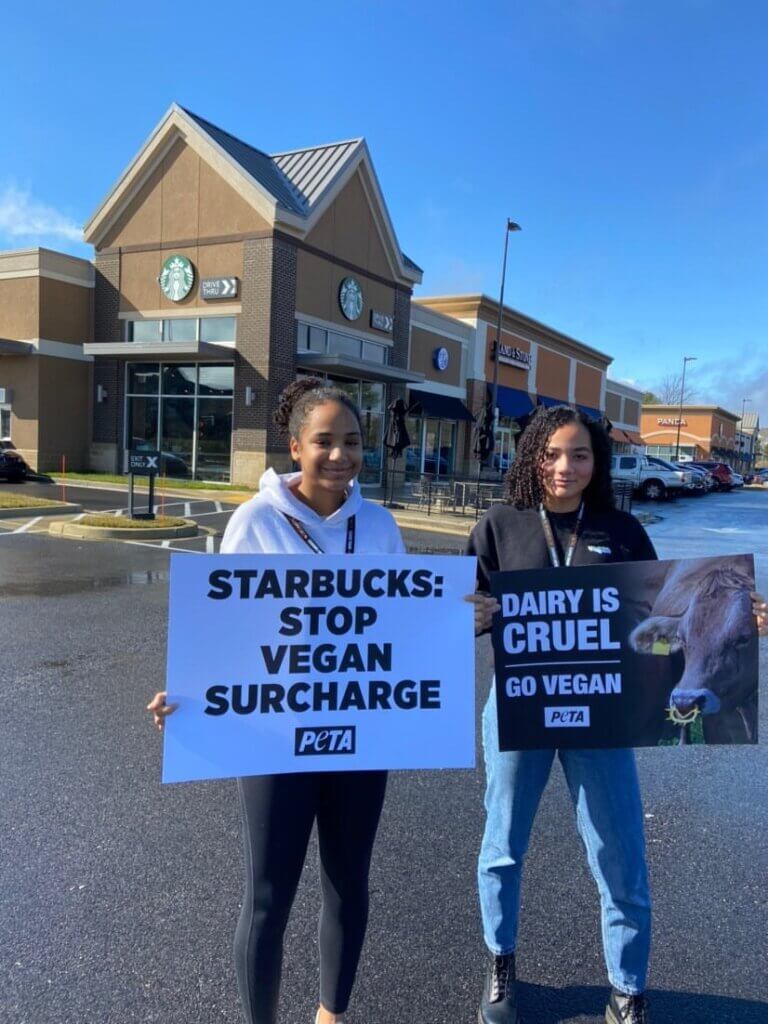 Starbucks vegan milk 4