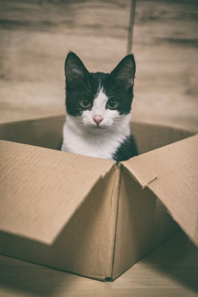 Image from Unsplash for the eco-friendly life hacks article