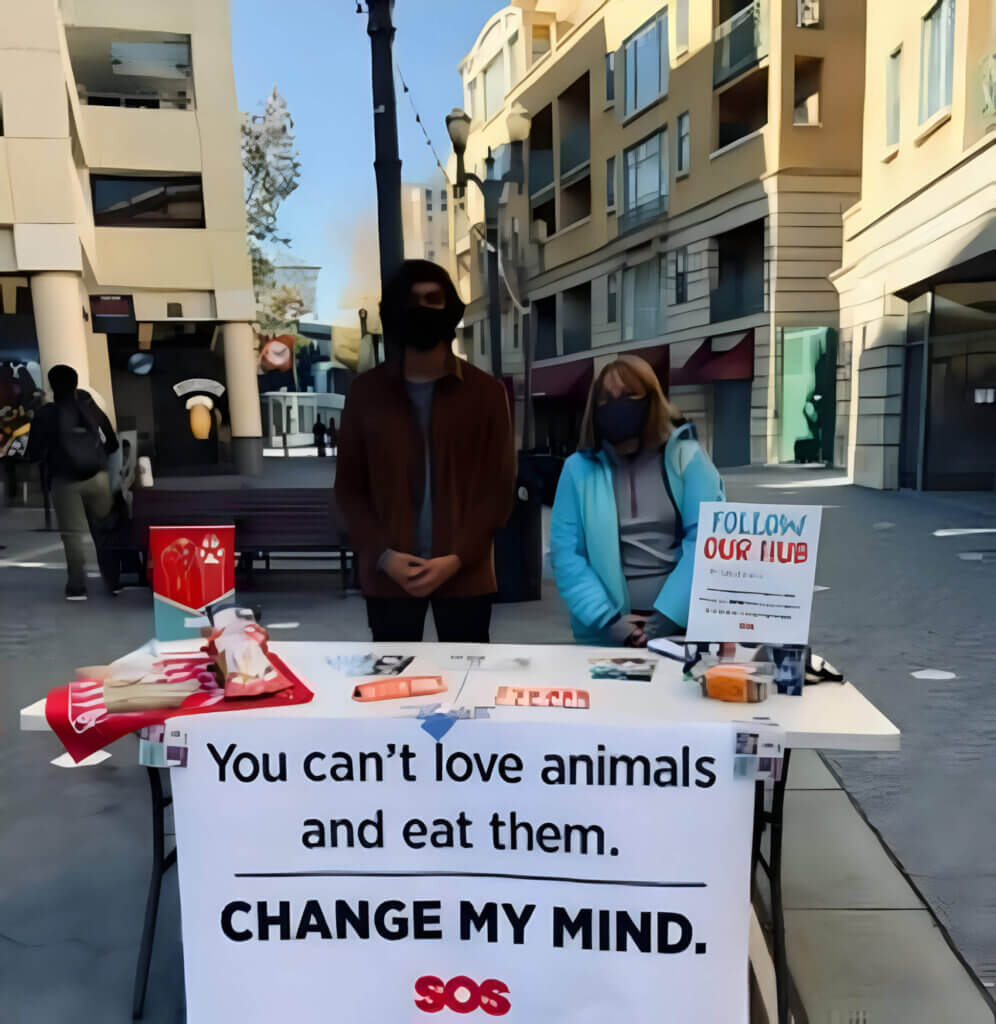 PETA-owned image for the introvert article