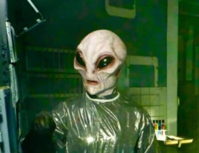 PETA-owned image for the Abduction news page