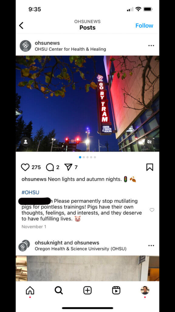 PETA-owned image