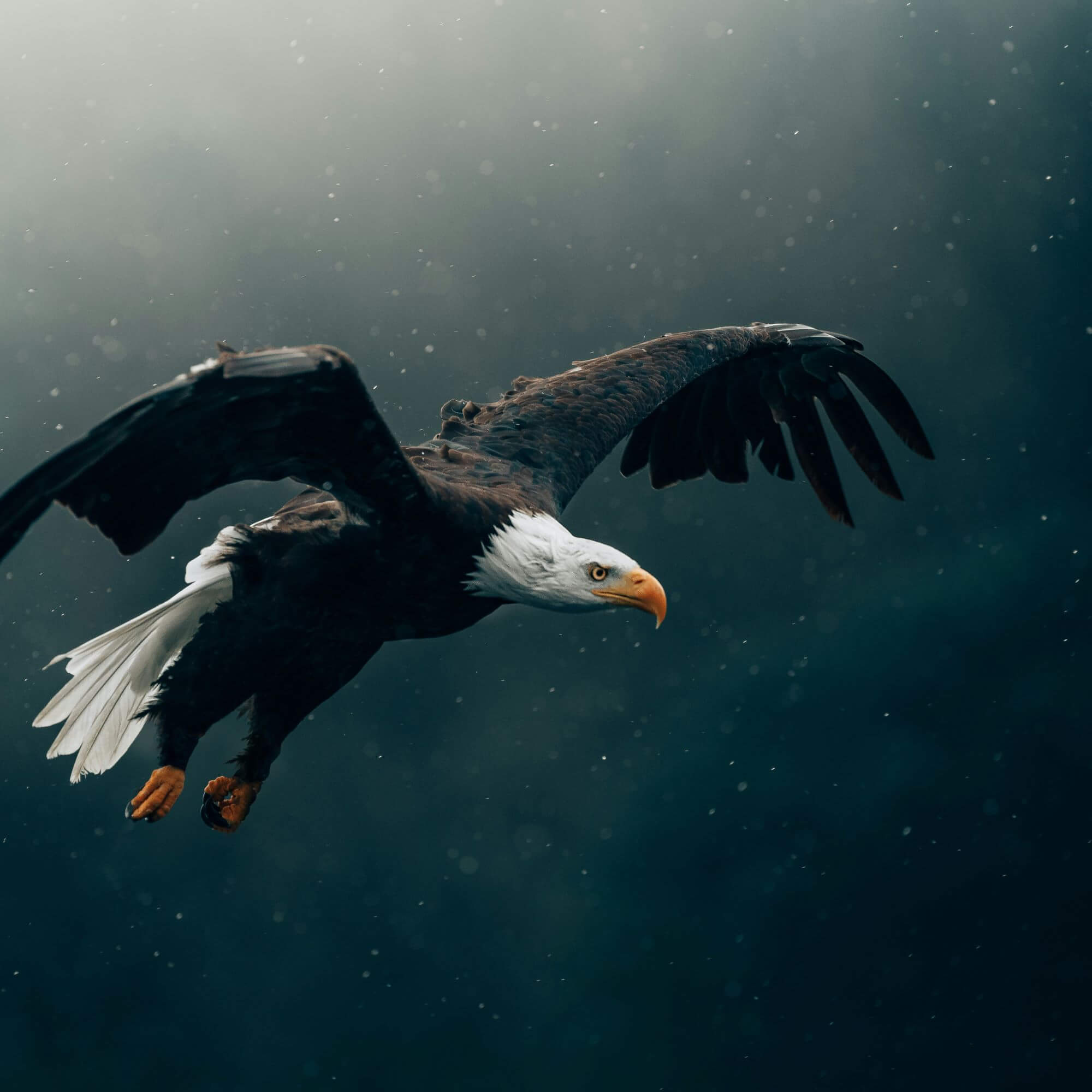 Image from Unsplash for the U.S. Soccer Federation AA